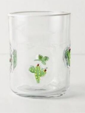 Rare~NWT Anthro Cactus Isla Juice Glass